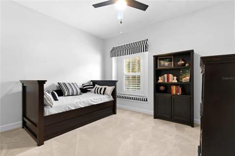 2650 Tanglewood Trail, Palm Harbor FL - photo 19 of 33