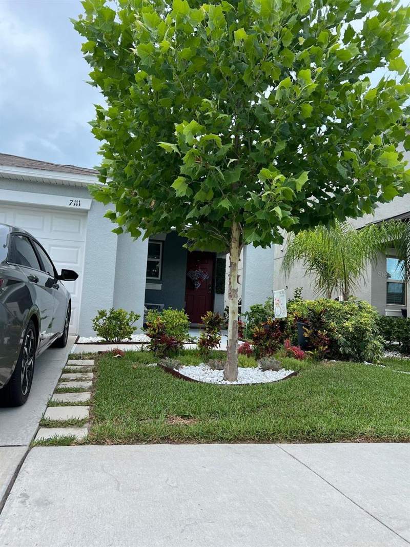 3 bedroom Single Family Residence at 7111 Amelia Cove Court, Cypress Mill Ph 3, Sun City Center — photo 2