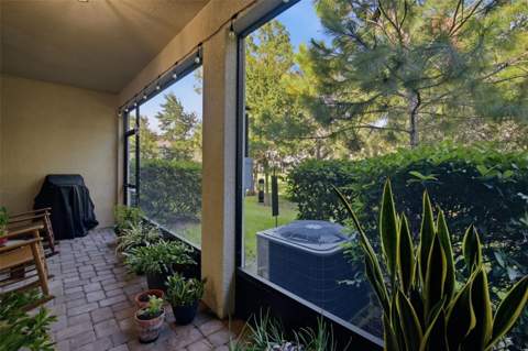 14215 Pondhawk Lane, Tampa FL - photo 7 of 47