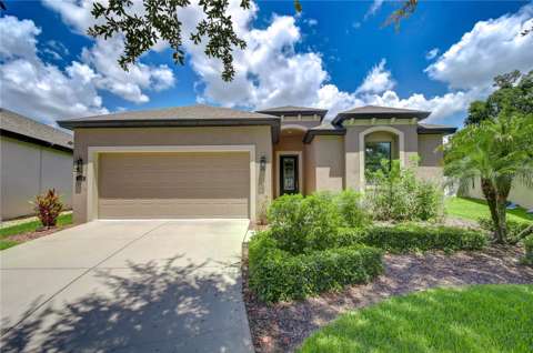826 Vino Verde Circle, home for sale in Brandon 33511