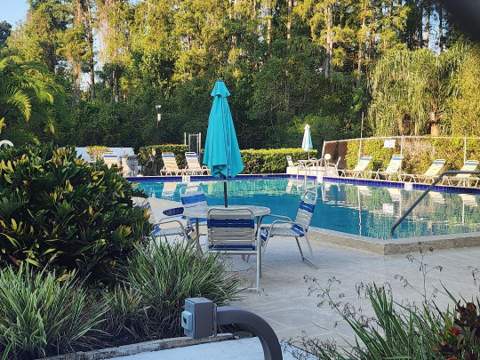 603 Baldwin Avenue #B, Safety Harbor FL - photo 18 of 32