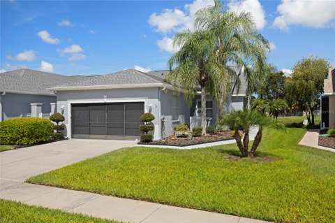 21143 Diamonte Drive, home for sale in Land O' Lakes 34637
