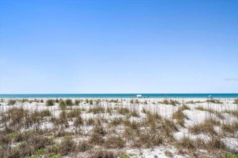 1038 Eldorado Avenue, Clearwater FL - photo 6 of 50