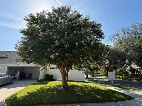 13006 Sunkiss Loop, Windermere FL - photo 7 of 52