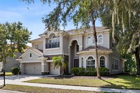 9113 Creedmoor Lane, New Port Richey FL - photo 6 of 6