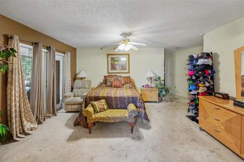 3061 Alt 19, Palm Harbor FL - photo 13 of 30