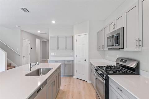31670 Baronne Street, Wesley Chapel FL - photo 12 of 27
