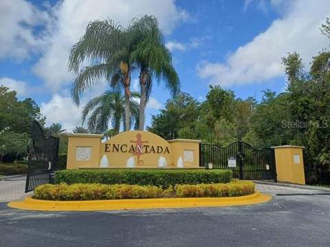 3005 Red Ginger Road, Kissimmee FL - photo 10 of 54