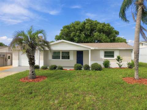 3625 Cockatoo Dr, home for sale in New Port Richey 34652