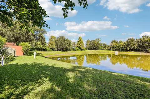 2520 Colony Reed Lane, Clearwater FL - photo 22 of 27
