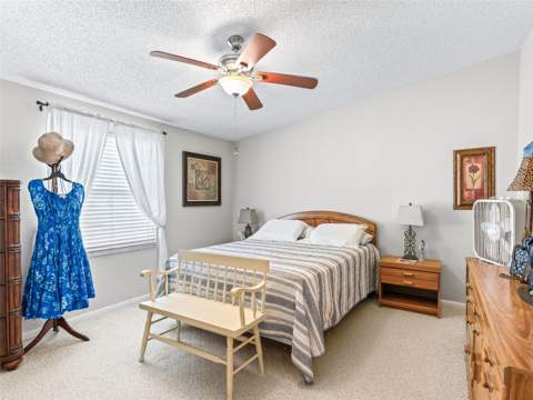 1809 Daffodil Lane, Lady Lake FL - photo 21 of 37