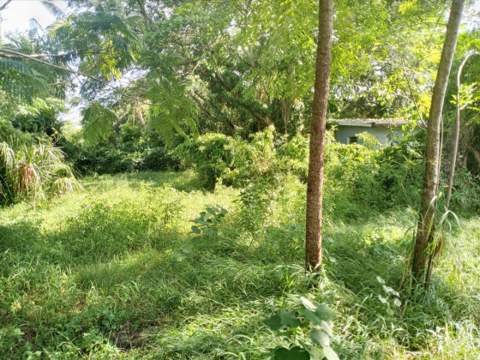 4022 Shellman Street, Orlando FL - photo 17 of 20
