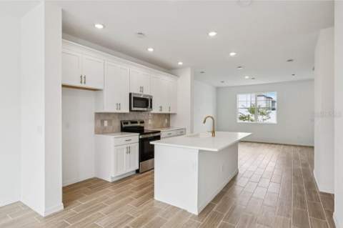 17392 Sweet Moro Drive, Winter Garden FL - photo 7 of 28