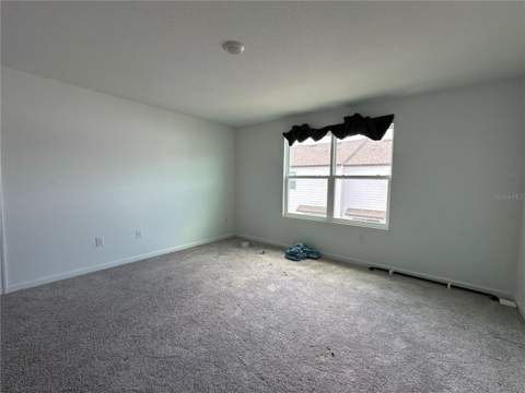 6287 Bucket Court, Gibsonton FL - photo 10 of 18
