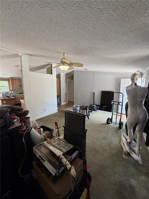 41527 Paradise Road, Deland FL - photo 6 of 6