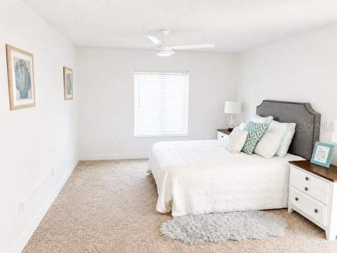 3211 Lake Pine Way #A1, Tarpon Springs FL - photo 22 of 42