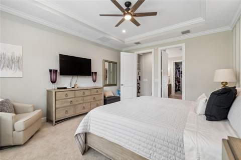 29534 Ginnetto Drive, Wesley Chapel FL - photo 19 of 99