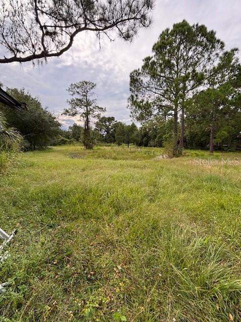 21103 Reindeer Road, Christmas FL - photo 16 of 24