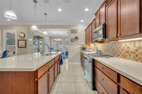 115 Salt Marsh Lane, Groveland FL - photo 17 of 45