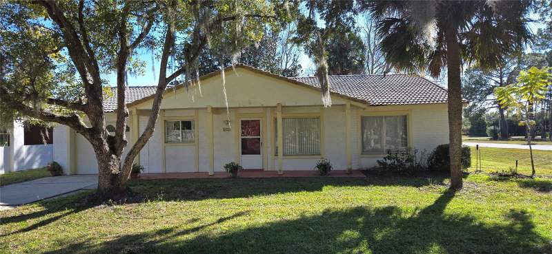 Lime Tree Village