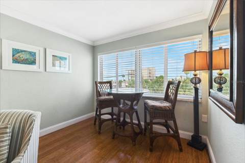 10265 Gulf Boulevard #A-301, St Petersburg FL - photo 9 of 46