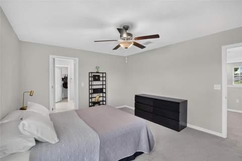 4907 Wild Senna Boulevard, Tampa FL - photo 24 of 66