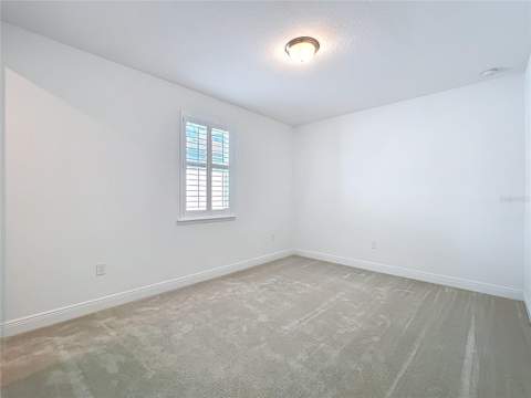7398 Alpine Butterfly Ln, Orlando FL - photo 20 of 86