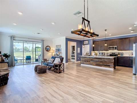 30980 Jazz Leaf Place, San Antonio FL - photo 11 of 50