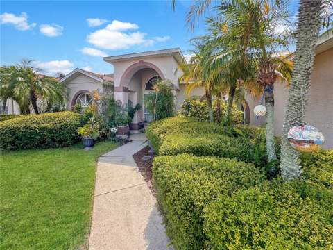 4300 Onorio Street, New Port Richey FL - photo 6 of 66