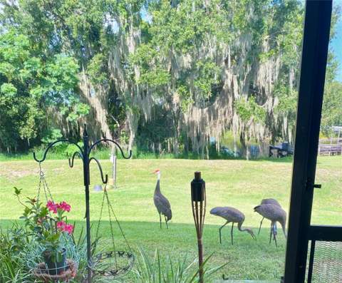 1051 Green Gate Boulevard, Groveland FL - photo 8 of 8