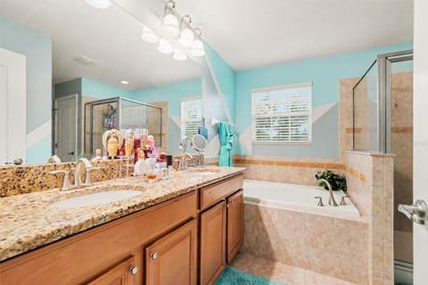20443 Autumn Fern Avenue, Tampa FL - photo 20 of 30