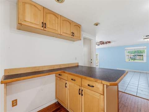 1116 E Oakwood Street, Tarpon Springs FL - photo 24 of 68