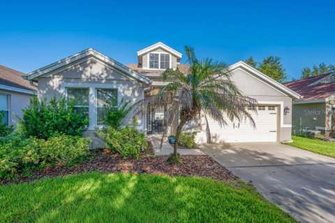 6105 Gannetside Place, home for sale in Lithia 33547