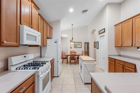5335 Clover Mist Drive, Apollo Beach FL - photo 16 of 44