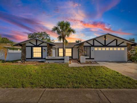 6907 Bottle Brush Drive, home for sale in Port Richey 34668