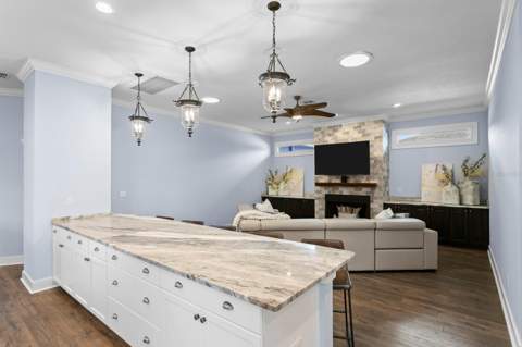 704 Eagle Lane, Apollo Beach FL - photo 17 of 67