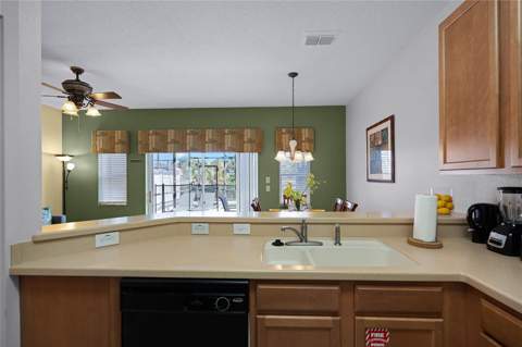 3083 Yellow Lantana Lane, Kissimmee FL - photo 8 of 49