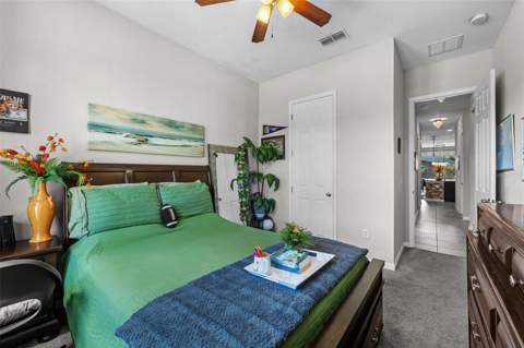 4501 Rolling Green Drive, Wesley Chapel FL - photo 20 of 54