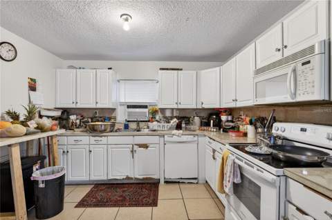 1400 N Simpson Street, Mount Dora FL - photo 9 of 25