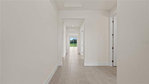 30273 Rustic Mill Street, Mount Dora FL - photo 15 of 35