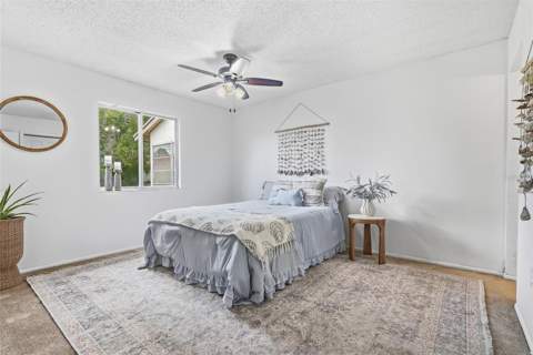 2265 Bancroft Circle #B, Palm Harbor FL - photo 22 of 40