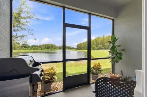 2213 Cerulean Sky Drive, home for sale in Lutz 33558