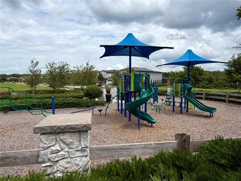 10301 Austrina Oak Loop, Winter Garden FL - photo 18 of 18