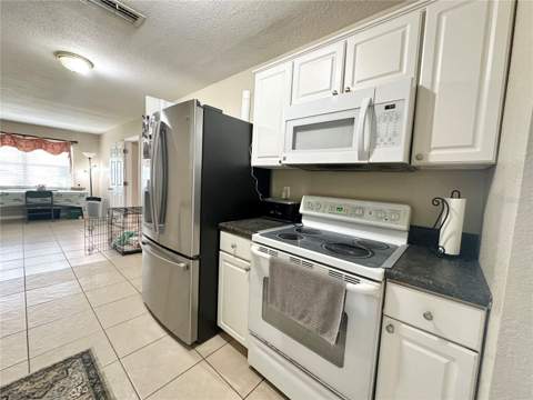 7507 Coral Vine Lane, Tampa FL - photo 6 of 6