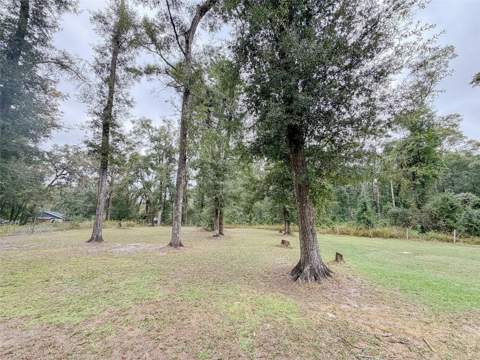 6530 NW 38th Place, Bell FL - photo 17 of 29