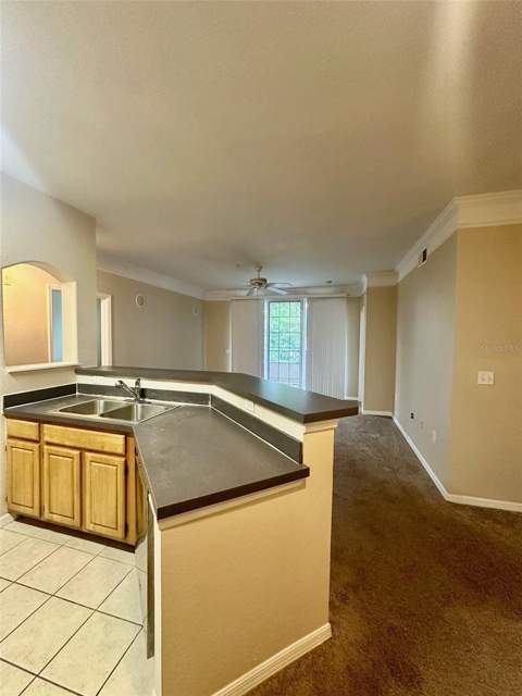 3250 Corona Village Way #206, Orlando FL - photo 7 of 31