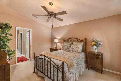 13813 Sigler Street, Riverview FL - photo 12 of 28