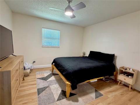 6353 Florida Avenue, New Port Richey FL - photo 14 of 34