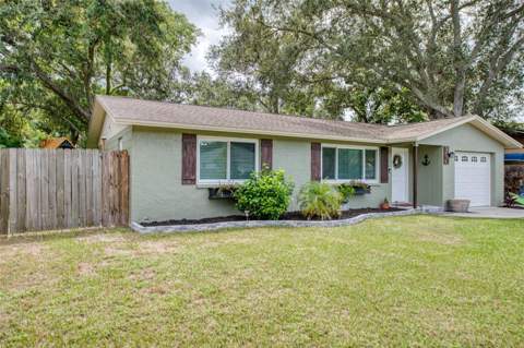1440 Wisconsin Avenue, Palm Harbor FL - photo 23 of 30