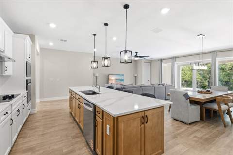 6035 Blue View Way, St Cloud FL - photo 7 of 35